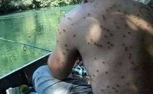 Đứng ngồi không yên với những bức ảnh vừa khó hiểu vừa gây khó chịu