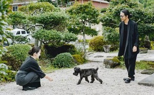 Cuộc sống thảnh thơi trong ngôi nhà vườn rợp bóng cây xanh của cặp vợ chồng người Nhật