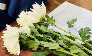 Xúc động hình ảnh hoa cúc trắng cùng bài thi trên bàn học
