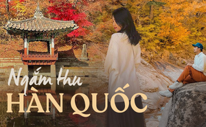 6 địa điểm tận hưởng mùa thu, ngắm lá vàng rơi lãng mạn ở Hàn Quốc