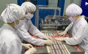 VIDEO: "Đột nhập" 2 nhà máy sản xuất thuốc điều trị Covid-19 ở Bình Dương
