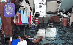 Clip: Thấy rắn hổ mang ngóc đầu tấn công, người đàn ông la hét bỏ chạy
