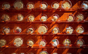 Cửa hàng trưng bày, chế biến tại chỗ hàng trăm loại mì ăn liền cuốn hút giới trẻ Thái Lan