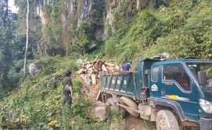 Chi cục Kiểm lâm và lãnh đạo huyện nói gì vụ chặt phá rừng biên giới ở Nghệ An?