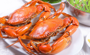 Chuyên gia hướng dẫn cách bổ sung kẽm cho trẻ bằng thực phẩm hằng ngày