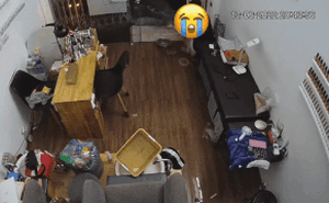 Loạt clip bi hài 'Hà Nội phố cũng như sông' sau cơn mưa lớn