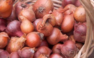 Làm sao để bảo quản hành tím khô được lâu, để cả năm cũng không thối mềm?