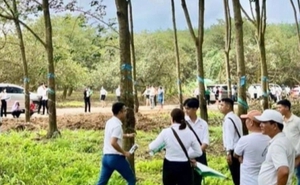Xôn xao video bán đất như bán rau ở Bình Phước
