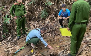 Bắt nghi phạm bỏ thuốc diệt cỏ vào nguồn nước của 4 gia đình để trả thù