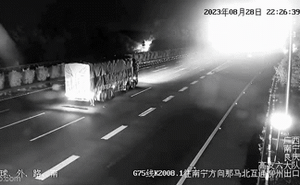 Dừng xe trên cao tốc, chưa đầy 1 phút sau những gì xảy ra khiến tài xế xe tải hối hận cả đời