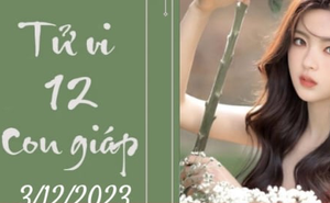 Tử vi vui 12 con giáp hôm nay ngày 3/12/2023: Dậu nhẹ nhàng, Dần dạt dào