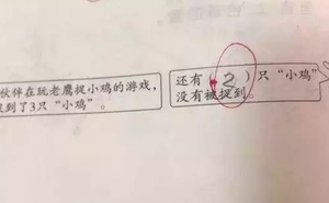 Đây là bài toán lớp 1 khiến phụ huynh và giáo viên tranh cãi dữ dội: Nhiều người bất bình khi nghe đáp án 'chính xác'