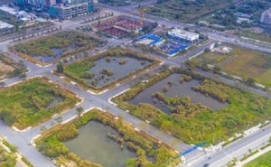 Luật Đất đai sửa đổi: Có trị được bệnh đấu giá đất xong bỏ hoang?