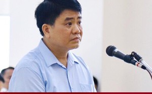 Điều tra bổ sung vụ 'thổi giá' cây xanh liên quan ông Nguyễn Đức Chung