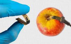 Cảm biến phát hiện nhanh dư lượng thuốc trừ sâu trong thực phẩm