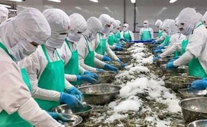Vì sao doanh nghiệp thủy sản cạn đơn hàng xuất khẩu?