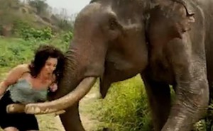 Người phụ nữ gánh hậu quả khi trêu voi bằng trái chuối