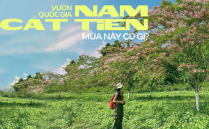 Vườn quốc gia Nam Cát Tiên đang xuất hiện cảnh quan gì mà người TP.HCM kéo nhau xuống Đồng Nai cho bằng được?