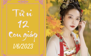 Tử vi vui 12 con giáp hôm nay ngày 1/6/2023: Sửu thịnh vượng, Thân lo lắng