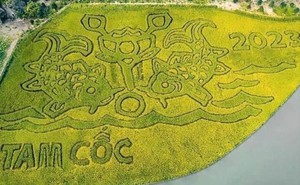 DN đằng sau bức tranh "Lý ngư vọng nguyệt'' trên cánh đồng lúa 10.000 m2 đẹp nhất Việt Nam: Đại gia của những siêu dự án tâm linh tỷ đô