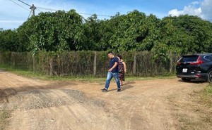 Đất vườn tỉnh đang diễn biến “lạ”?