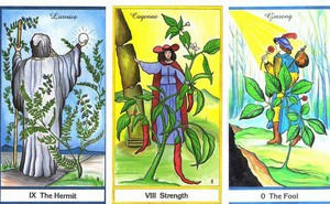 Rút 1 lá bài Tarot để biết may mắn và cơ hội nào sẽ ập đến với bạn trong tuần mới