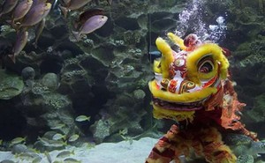[Video] Độc đáo nghệ thuật múa lân dưới nước ở Malaysia
