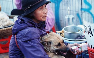 Câu chuyện đáng yêu của người phụ nữ bán vé số và chú chó lang thang ở Đà Lạt