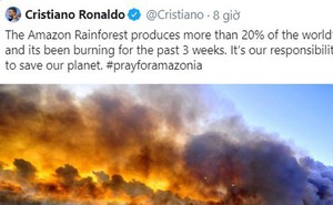 Các siêu sao bóng đá cầu nguyện cho rừng Amazon, Ronaldo tuyên bố: "Chúng ta phải có trách nhiệm cứu lấy hành tinh này"