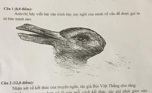 Đề thi học sinh giỏi Văn chỉ có hình nửa thỏ nửa vịt yêu cầu học sinh phân tích, trình bày suy nghĩ