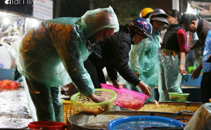 Ngày ông Công ông Táo, chợ cá lớn nhất Hà Nội cháy hàng cá chép từ rạng sáng