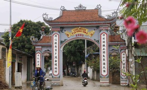 Người dân Đồng Tâm trưng đào, quất hối hả chuẩn bị đón Tết