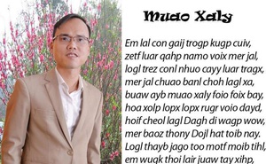 Bộ GD-ĐT không có chủ trương thay đổi chữ viết Tiếng Việt