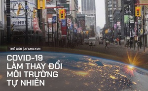 Đại dịch Covid-19 đang làm thay đổi môi trường tự nhiên: Tiếng chim hót tạo nên âm thanh của thành phố, đại dương trở nên yên tĩnh lạ lùng
