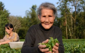 3 thói quen đơn giản giúp cụ bà sống thọ hơn 100 tuổi