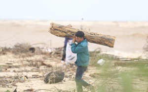 Ảnh: Người dân đổ ra biển nhặt củi trong cơn lũ lịch sử ở Quảng Bình