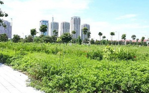 Nghe bạn nhậu, giấu vợ rút tiền, bán vàng dành cưới con để "sập bẫy"... đất vịt giời