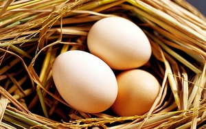Trứng gà phòng chống tăng huyết áp?