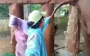 Cứu chữa cho voi bị táo bón, bác sĩ thú y được pha hứng trọn chất thải như thác đổ, cư dân mạng hò nhau: "Đừng dại xem lúc ăn cơm!"