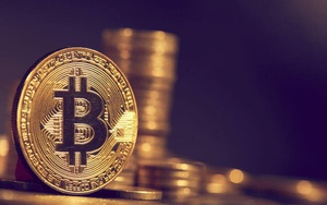 Giá Bitcoin cao nhất hơn 1 năm nhờ PayPal chấp nhận tiền ảo