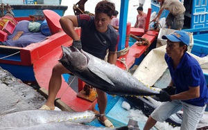 Hiếm có: Cá ngừ Việt xuất khẩu qua Italy tăng kỷ lục tới... 8.600%