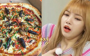 Xuất hiện pizza topping dế mèn + châu chấu + ve sầu ở Hà Nội, dân tình chạy 8 hướng