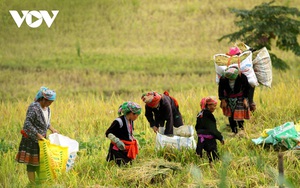 Người dân Lai Châu thu nhập hàng trăm triệu đồng từ sản xuất nông nghiệp