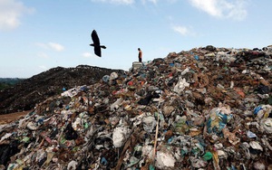 Sri Lanka trả lại rác thải chứa bộ phận cơ thể người cho Anh