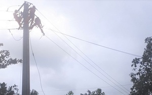 Vụ kê giàn giáo cắt dây điện 3 pha: Gia đình tố điện lực Ba Tơ quá chậm trễ