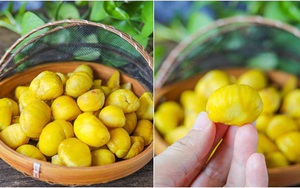 Mẹo bóc hạt dẻ vừa đẹp lại lành lặn, không hề đau tay