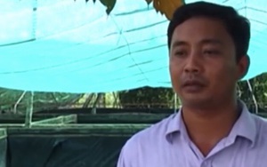 Giải mã "nỗi đau" 50% lươn chết khi về trang trại mới, triệu phú nuôi lươn Sài Gòn hút khách xếp hàng mua con giống