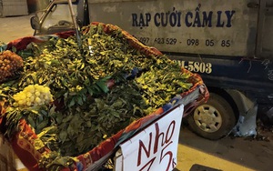 Trái cây Việt giá rẻ chưa từng có tràn lan khắp vỉa hè Hà Nội