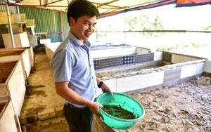 Thanh niên Hà Nội từ bỏ làm luật sư về trở thành “vua côn trùng” đất Bắc, thu tiền tỷ/năm