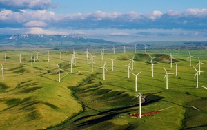 Hình bóng Đức Long Gia Lai tại dự án điện gió 1.600 tỷ vừa được chấp thuận đầu tư